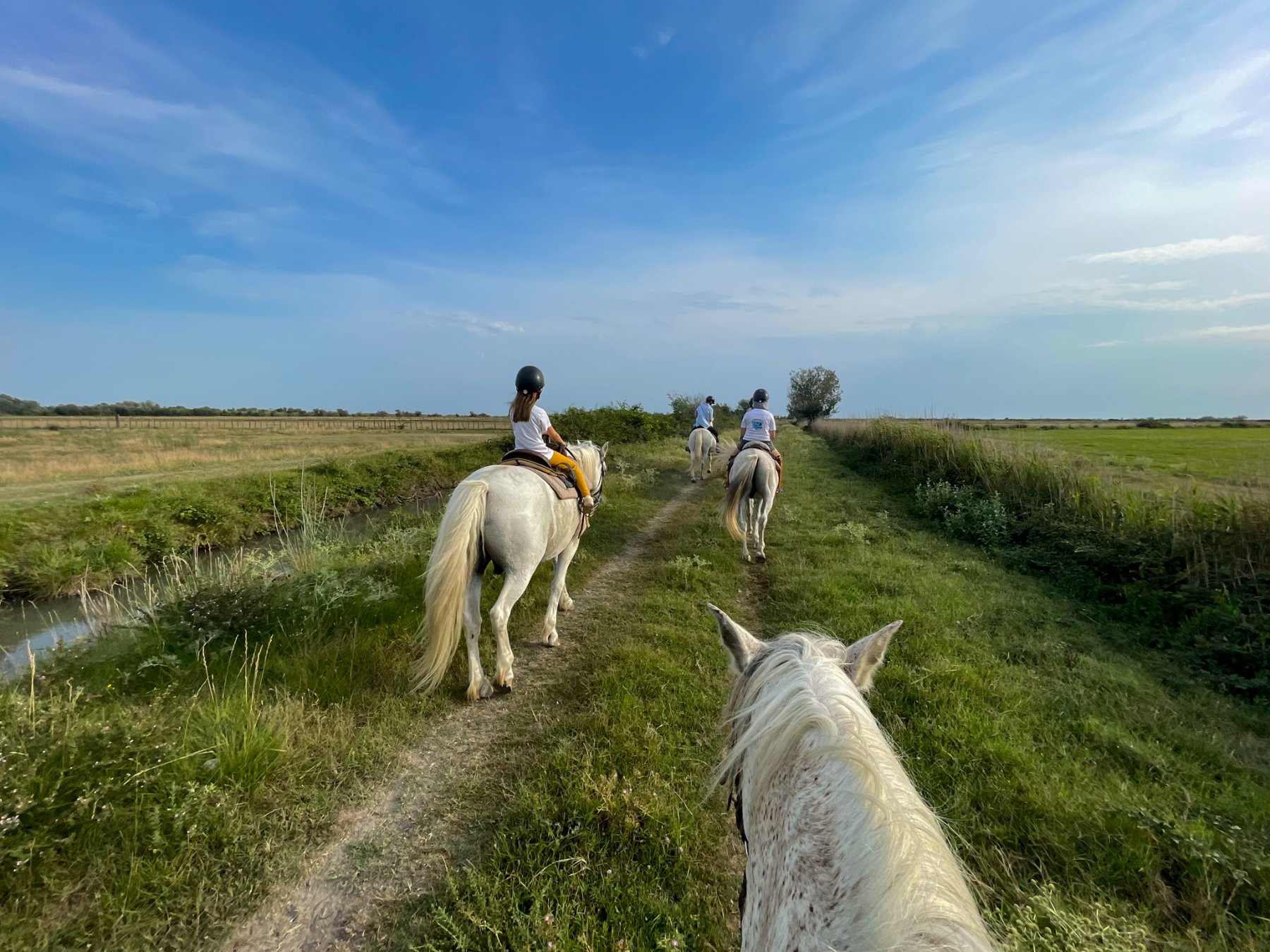 balade cheval mas st germain camargue