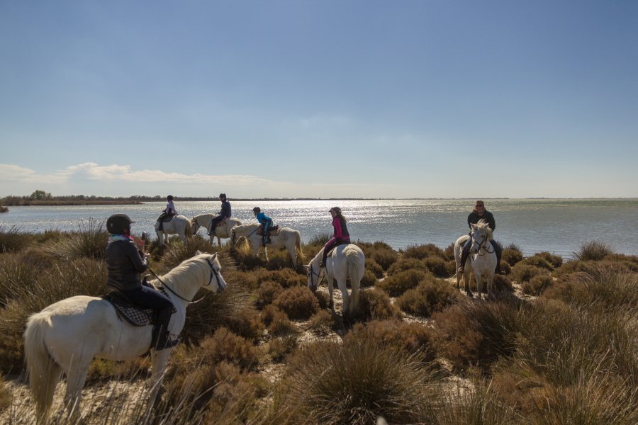 balade groupe equitation camargue gite