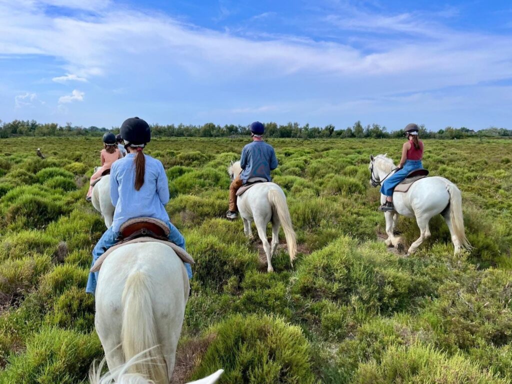 equitation cours mas st germain gite balade cheval camargue (1)