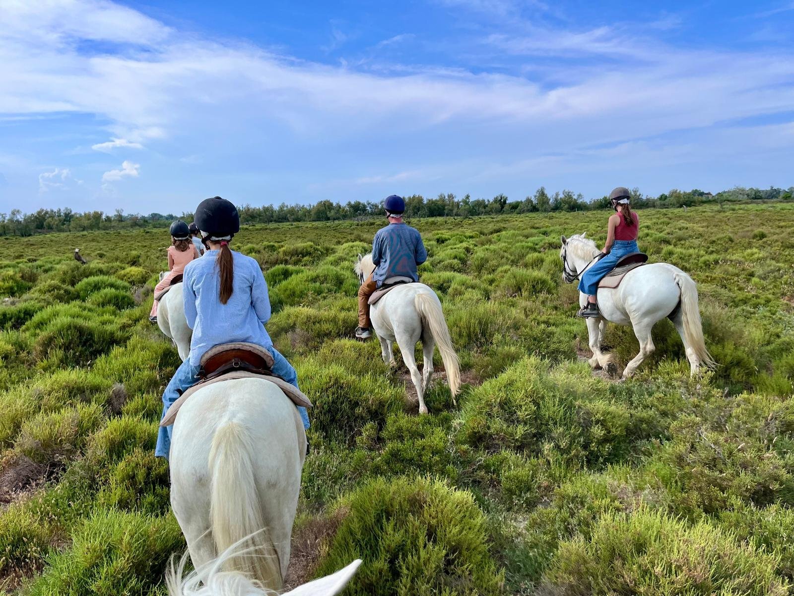 equitation cours mas st germain gite balade cheval camargue