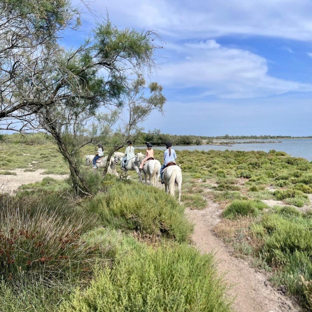 evjf evjg balade cheval camargue (1)