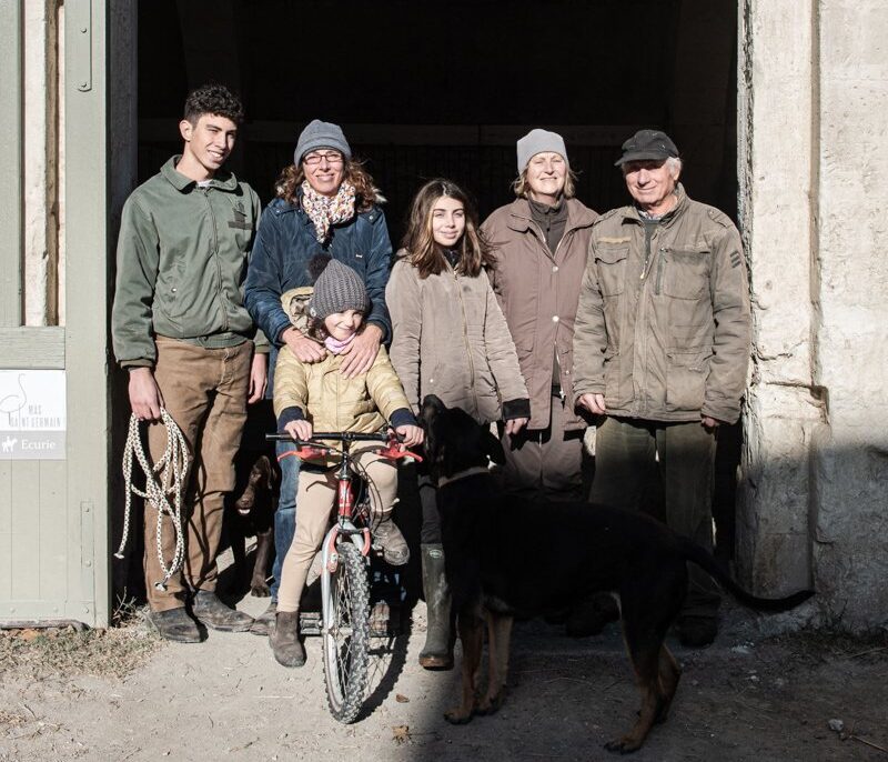 famille mas saint germain gite camargue vacances