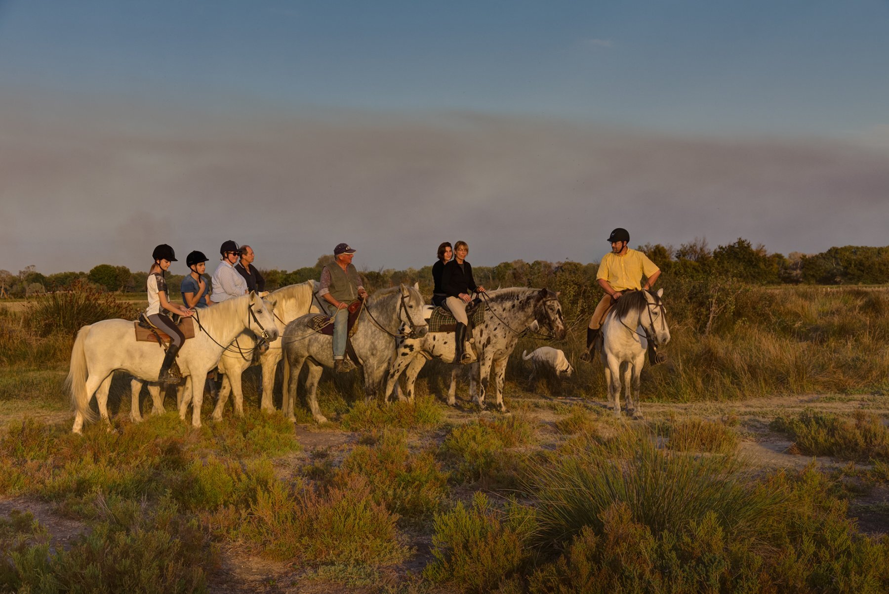 groupe chevaux camargue mas st germain