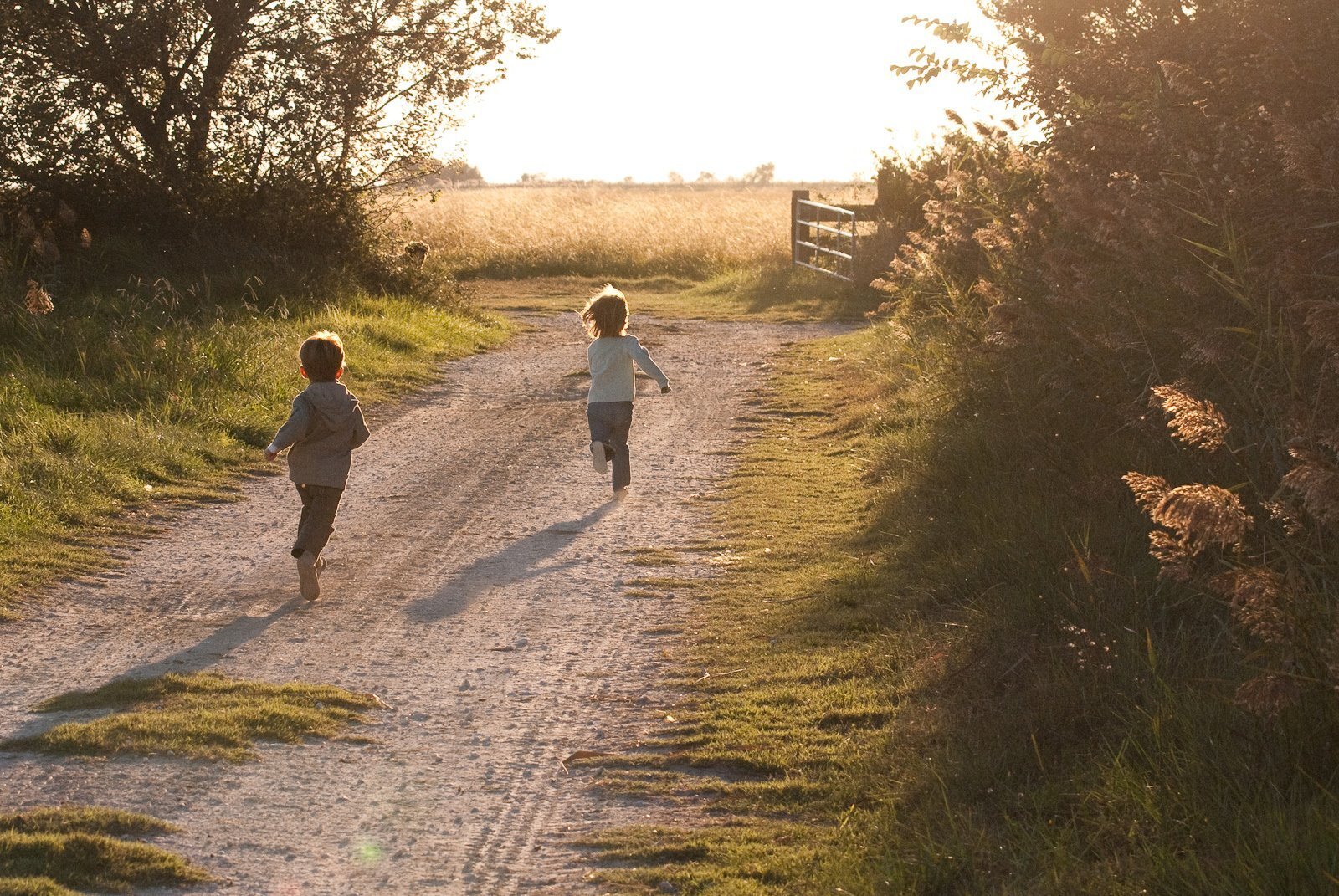 histoire mas familial camargue