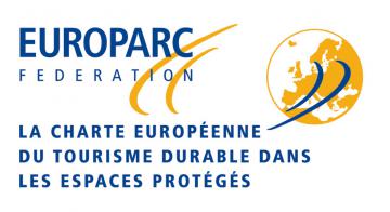 logo cetd