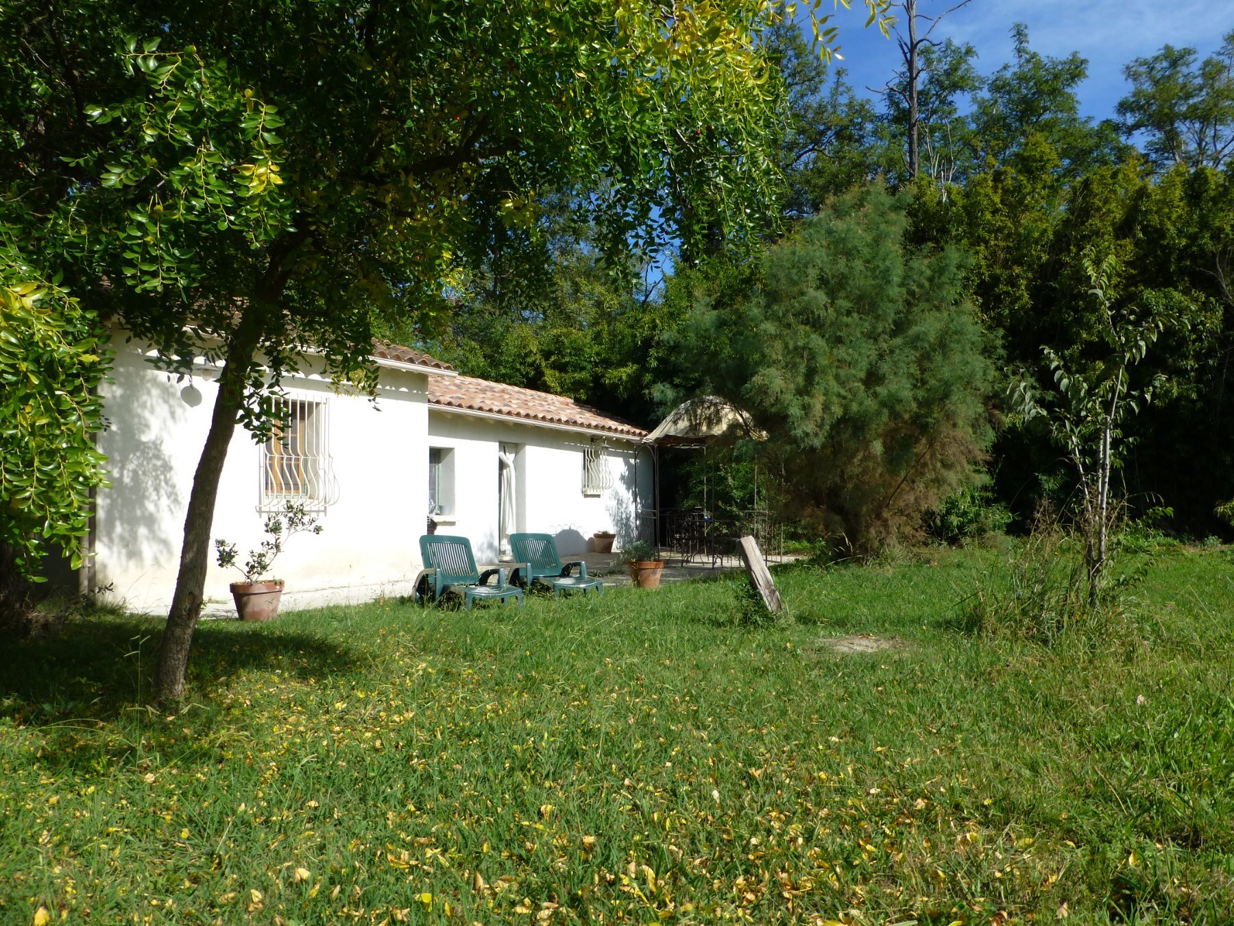 mas saint germain gite camargue le noisetier