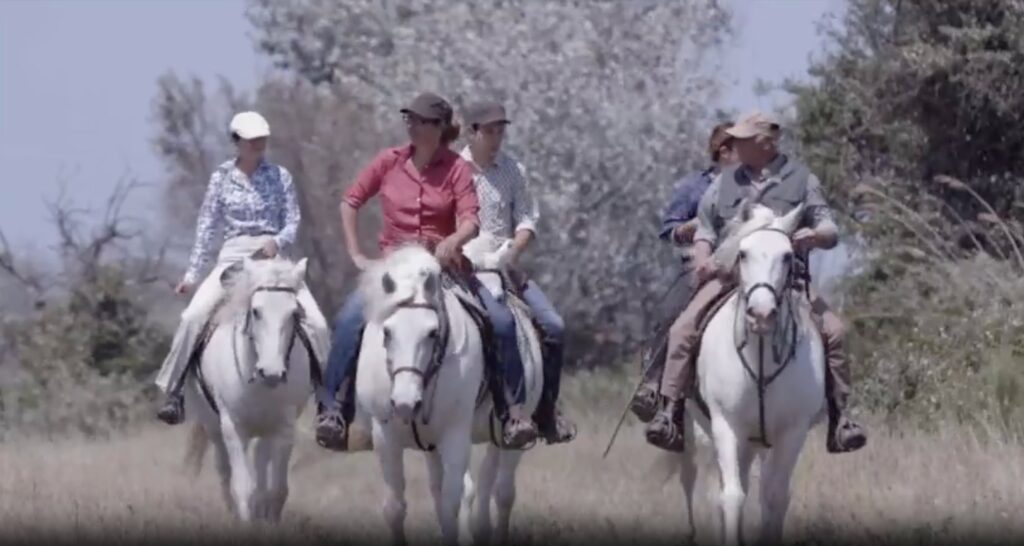 poster reportage camargue chaine ard