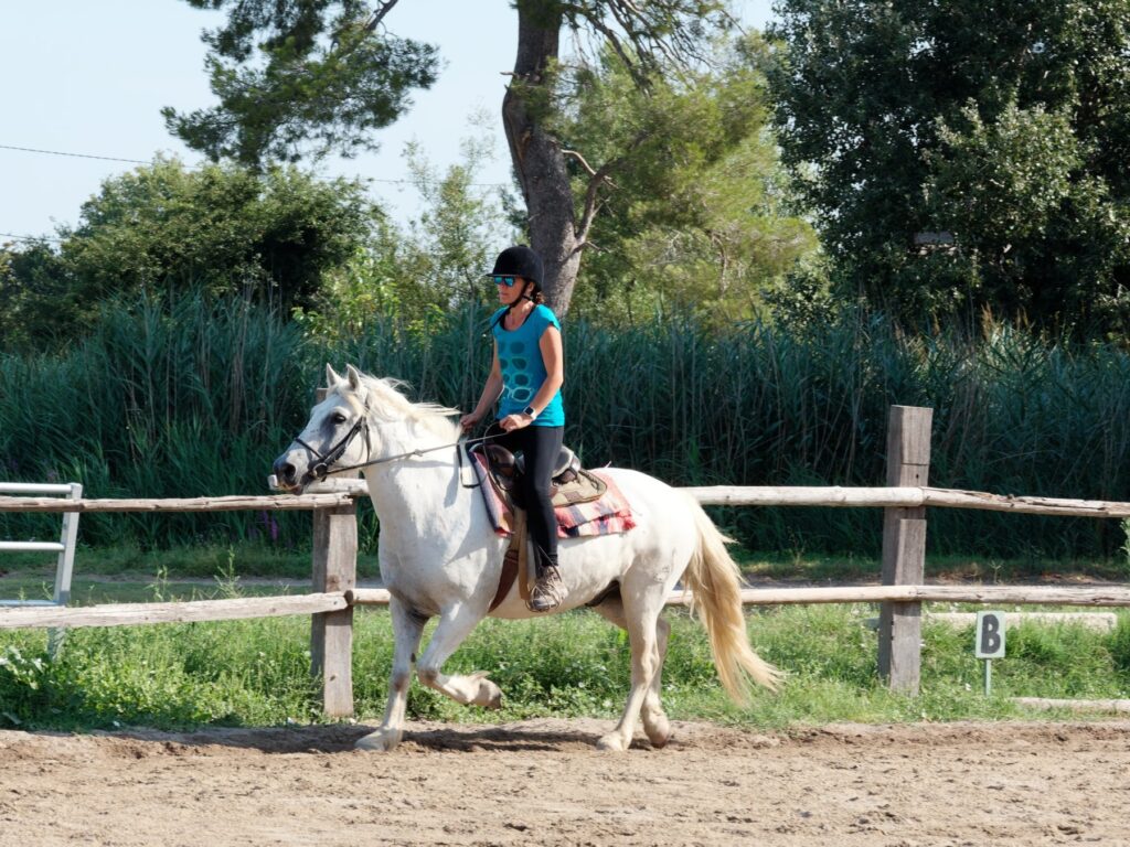 vacances gite camargue