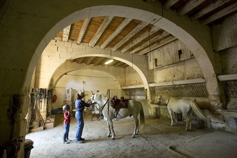 vacances mas saint germain chevaux gite camargue